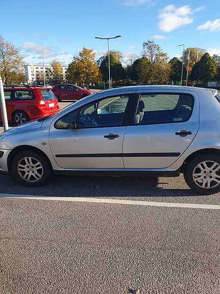 Peugeot 307 2002 photo 2