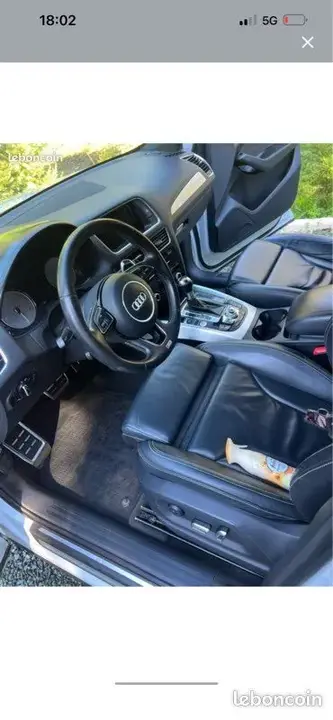 Audi Sq5 2016 photo 2