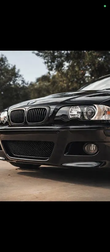 BMW Nierengrille