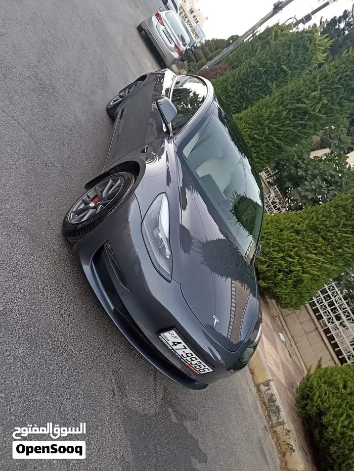 Tesla Model 3 2023 photo 3