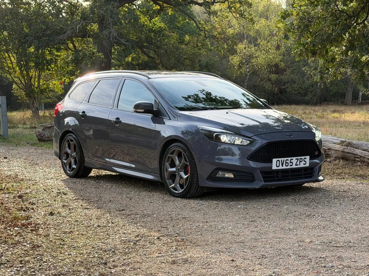 Ford Focus 2015 photo 3
