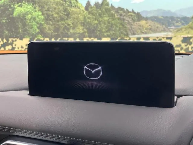 Mitsubishi Cx-8 2022 photo 4