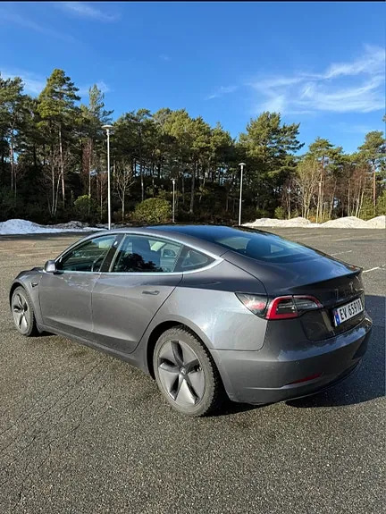 Tesla Model 3 2019 photo 3