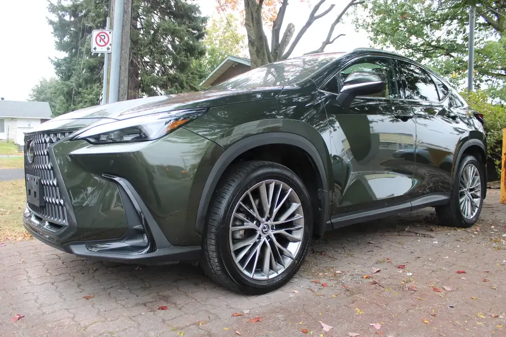 Lexus Nx 2025 photo 5