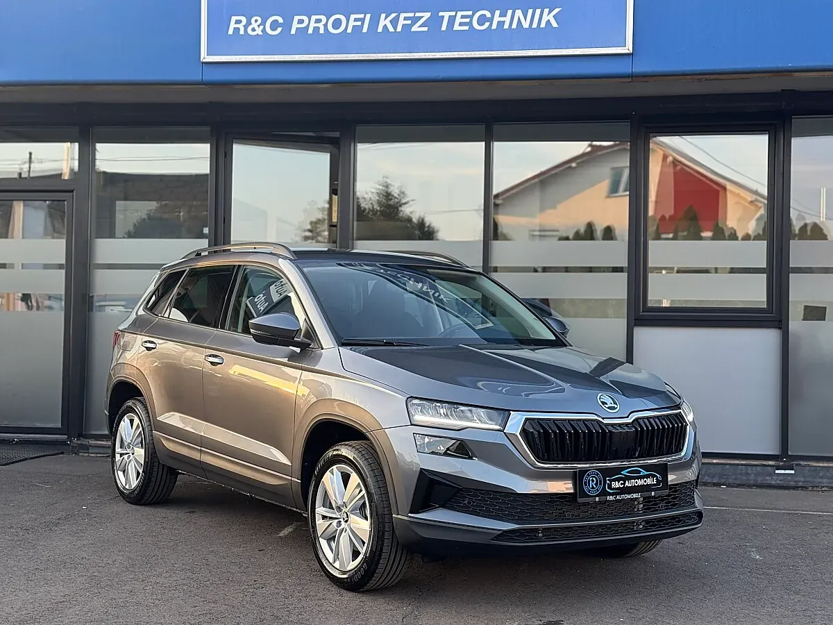 Skoda Karoq 2025 photo 2