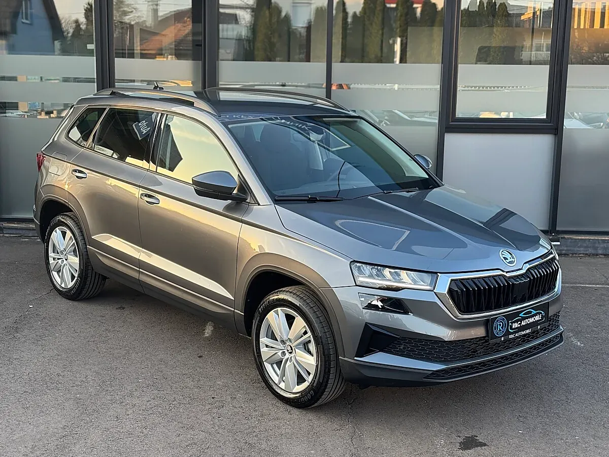 Skoda Karoq 2025 photo 3