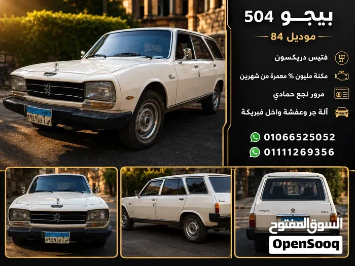 Peugeot 504 1983 photo 5