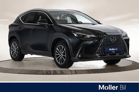Lexus Nx450H+ 2023 photo 2
