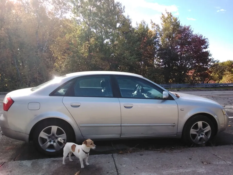 Audi A4 2005 photo 3