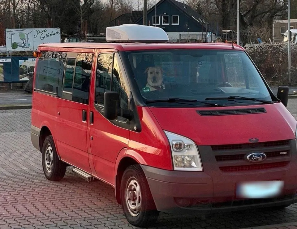 Ford Transit Tourneo