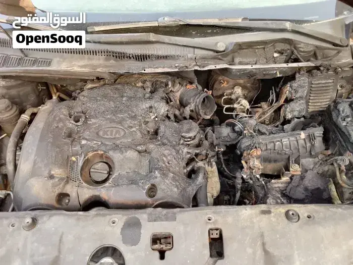 Kia Sedona 2008 photo 2