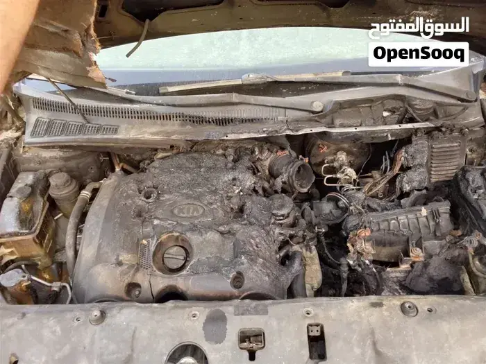 Kia Sedona 2008 photo 3