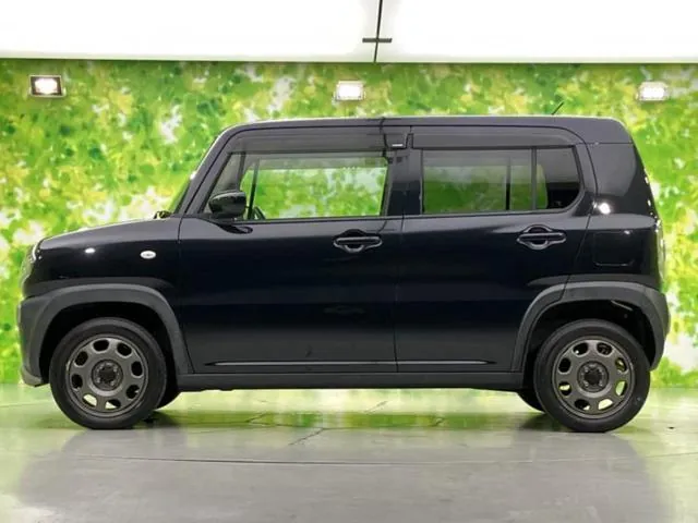 Suzuki Hašler G 2016 photo 2