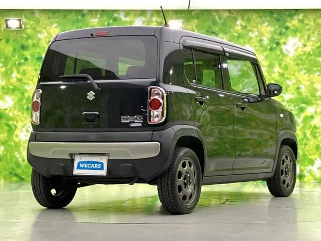 Suzuki Hašler G 2016 photo 3
