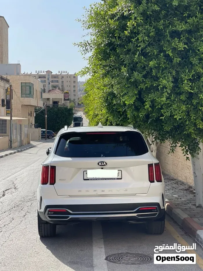 Kia Sorento 2020 photo 3