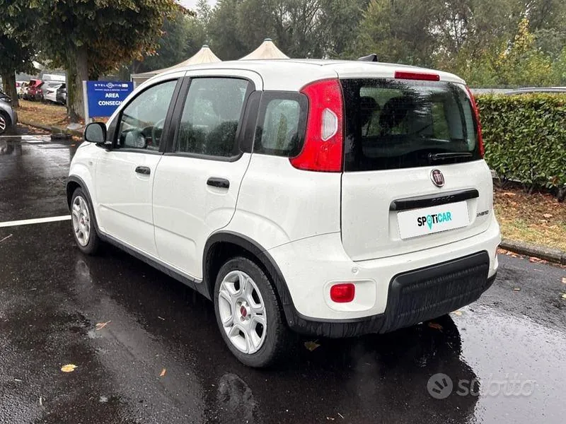 Fiat Panda 2024 photo 3