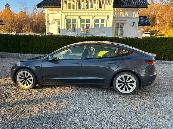 Tesla Model 3 2020 photo 3