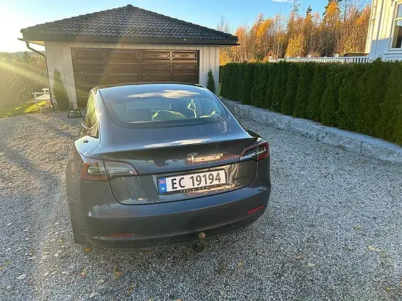 Tesla Model 3 2020 photo 5