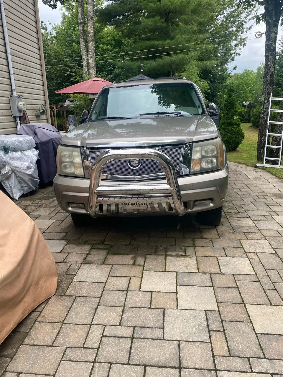 Cadillac Escalade 2003 photo 2