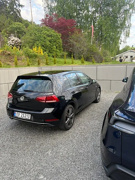 Volkswagen E-Golf Vii 2019 photo 4