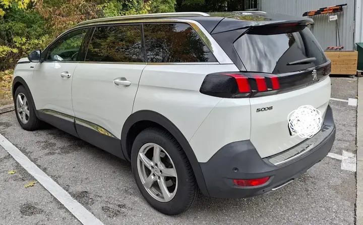 Peugeot 5008 2019 photo 2