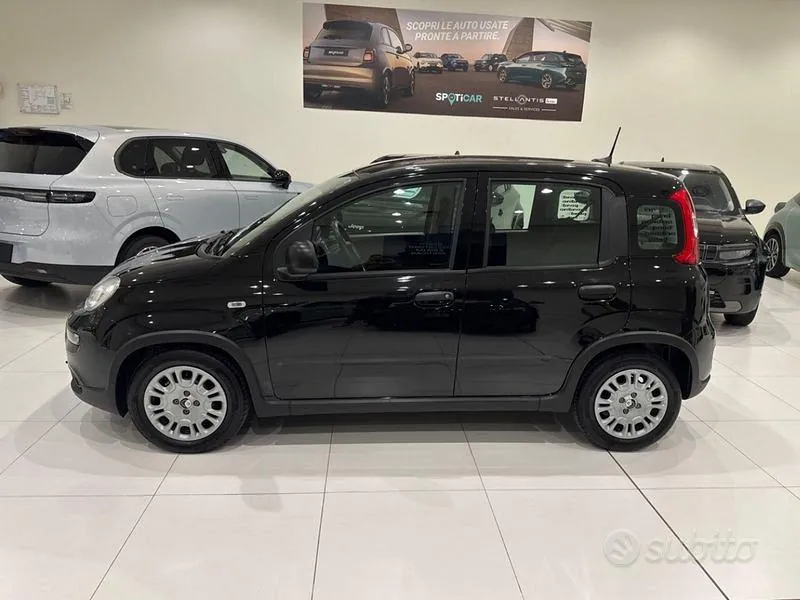 Fiat Panda 2024 photo 2