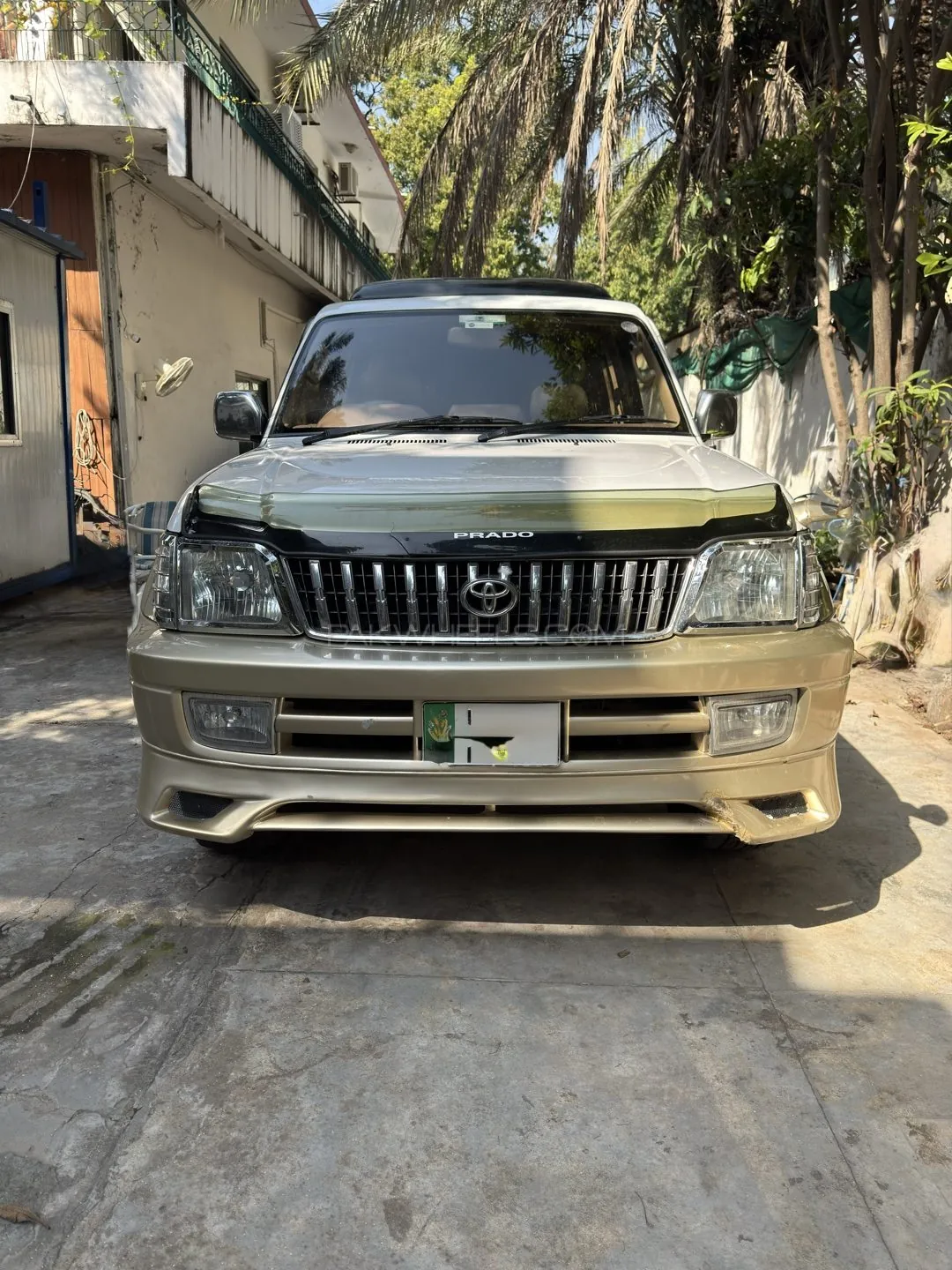 Toyota Prado
