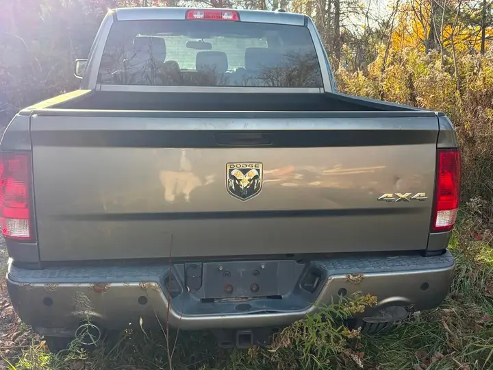 Dodge Ram 1500 2010 photo 3