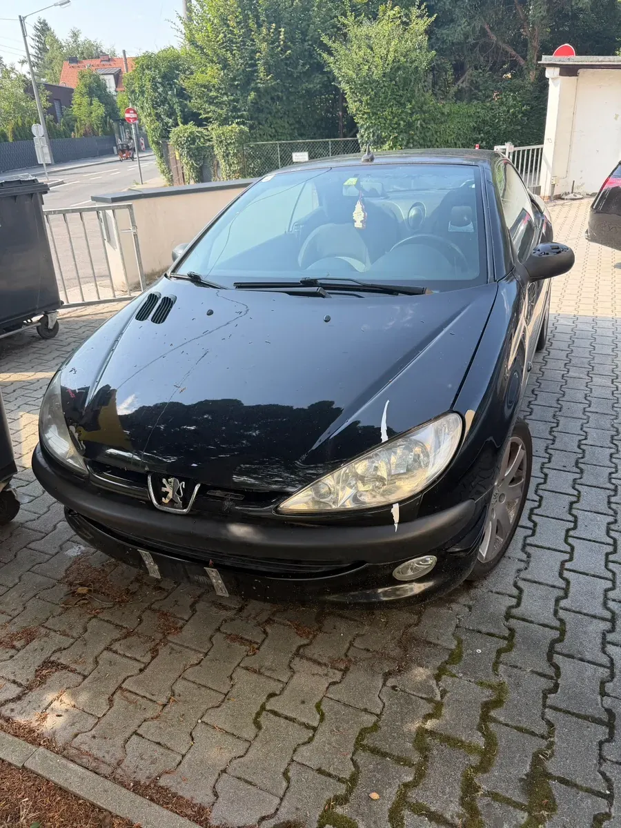 Peugeot 206 2002 photo 2
