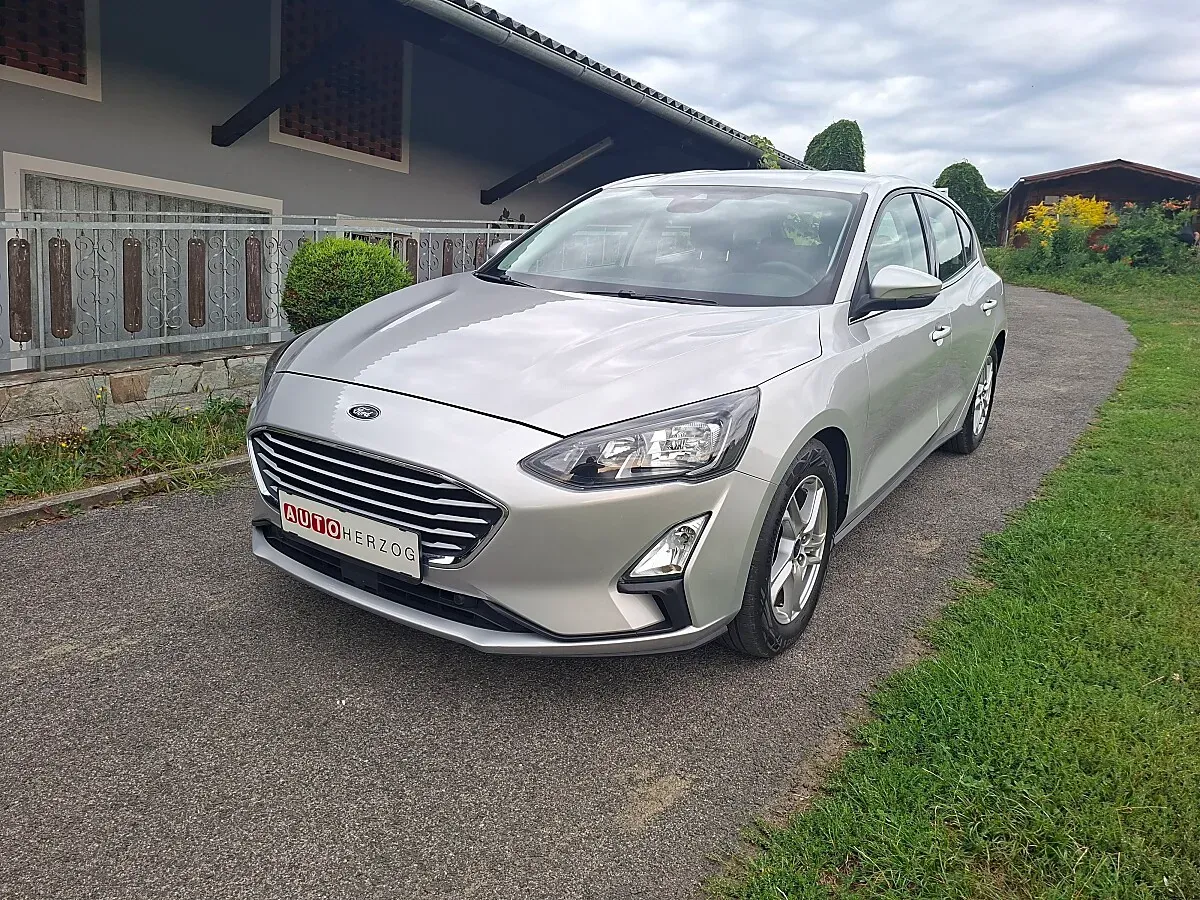 Ford Focus 2020 photo 3