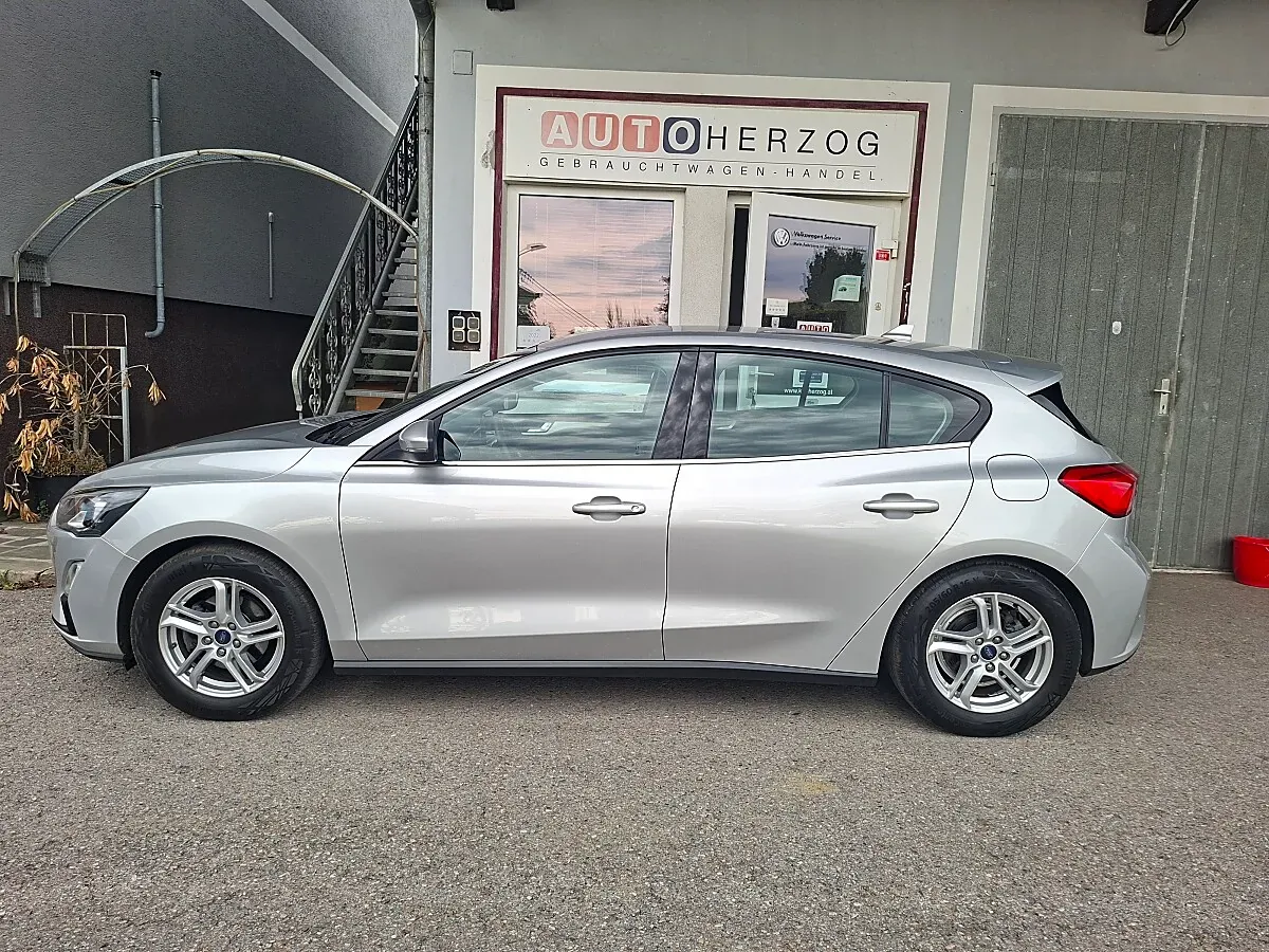 Ford Focus 2020 photo 2