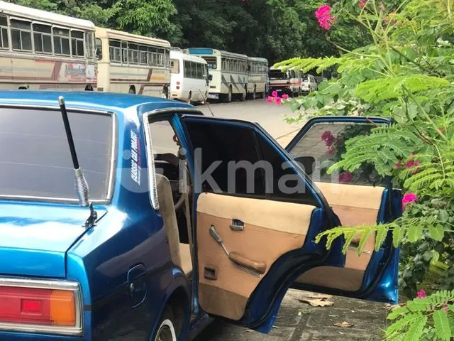 Nissan Sunny 1980 photo 5