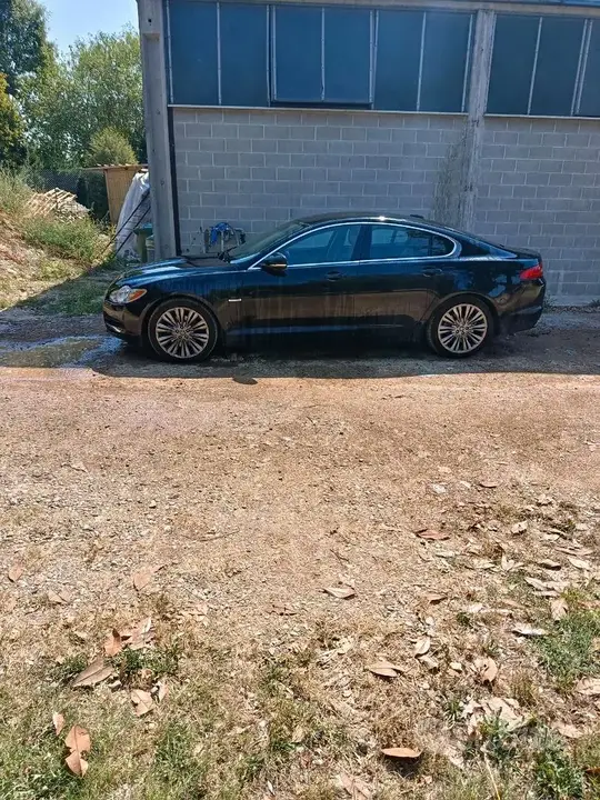 Jaguar Xf 2010 photo 2