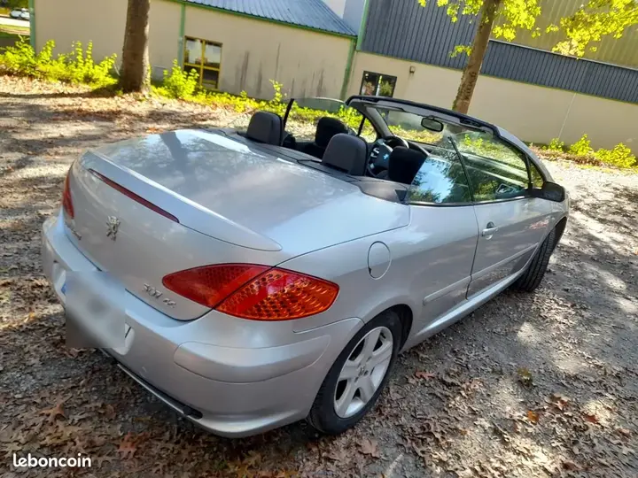 Peugeot 307 2004 photo 2
