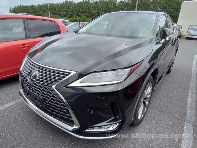 Lexus Rx300 2021 photo 2