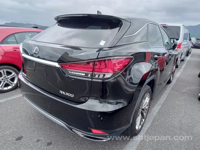 Lexus Rx300 2021 photo 4