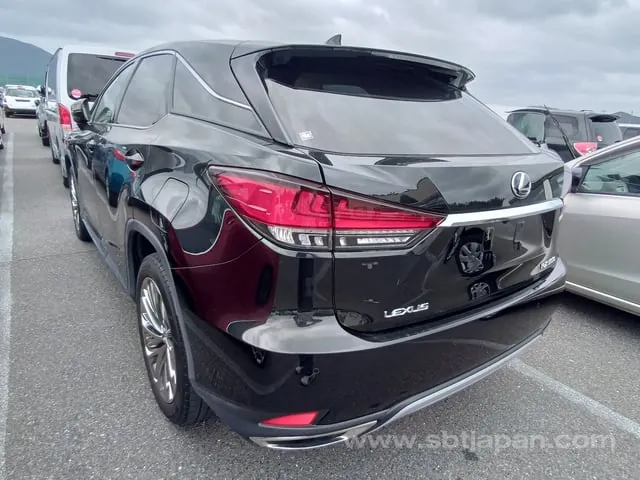 Lexus Rx300 2021 photo 3