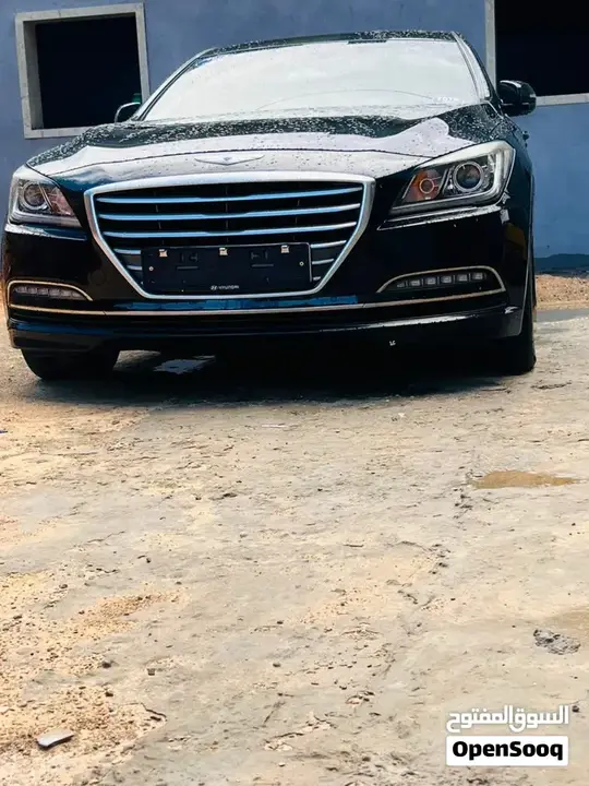Genesis Sonata