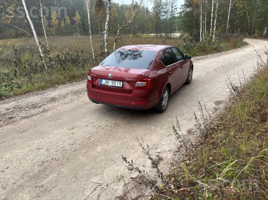 Skoda Octavia 2014 photo 2