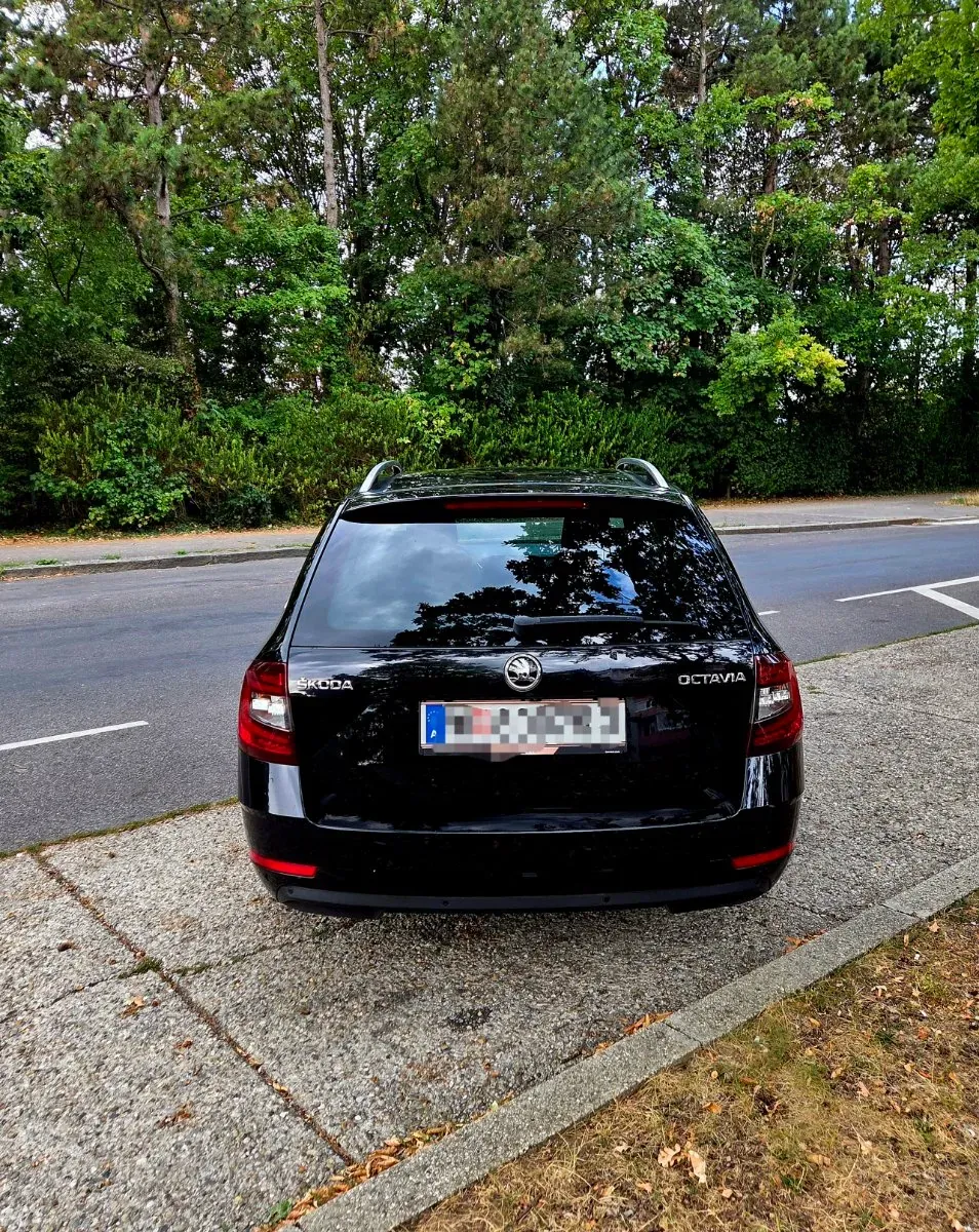 Skoda Octavia 2017 photo 3
