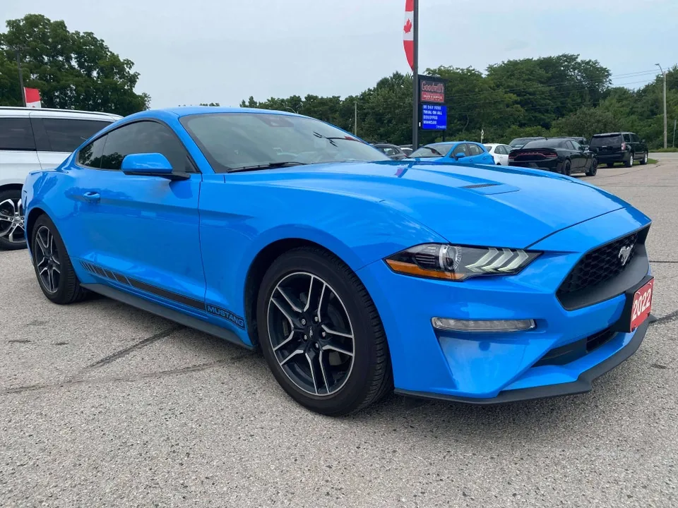 Ford Mustang 2022 photo 3