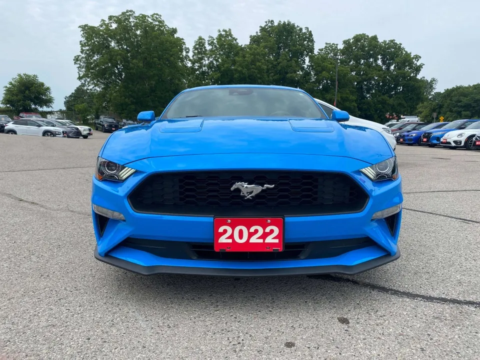 Ford Mustang 2022 photo 4