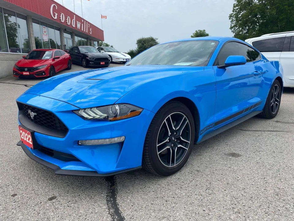 Ford Mustang 2022 photo 5