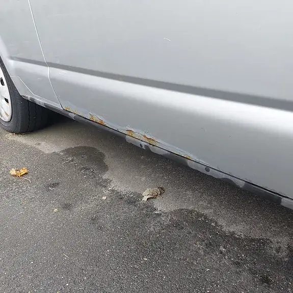 Volkswagen Transporter 2007 photo 4