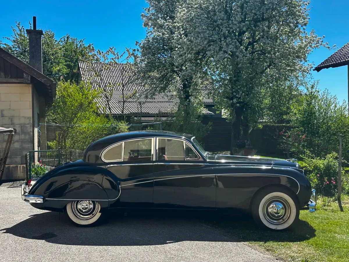Jaguar Sonstige