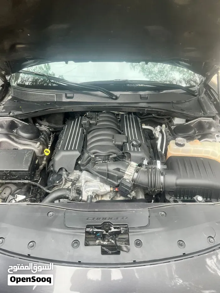 Dodge Charger 2023 photo 2