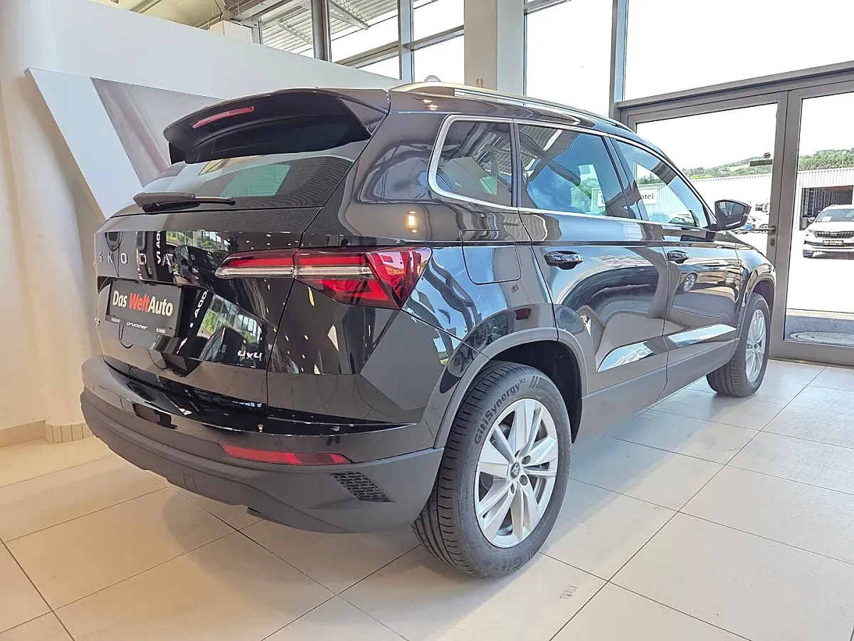 Skoda Karoq 2026 photo 2