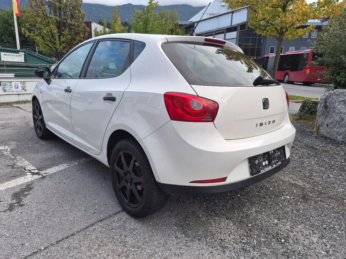 Seat Ibiza 2009 photo 2