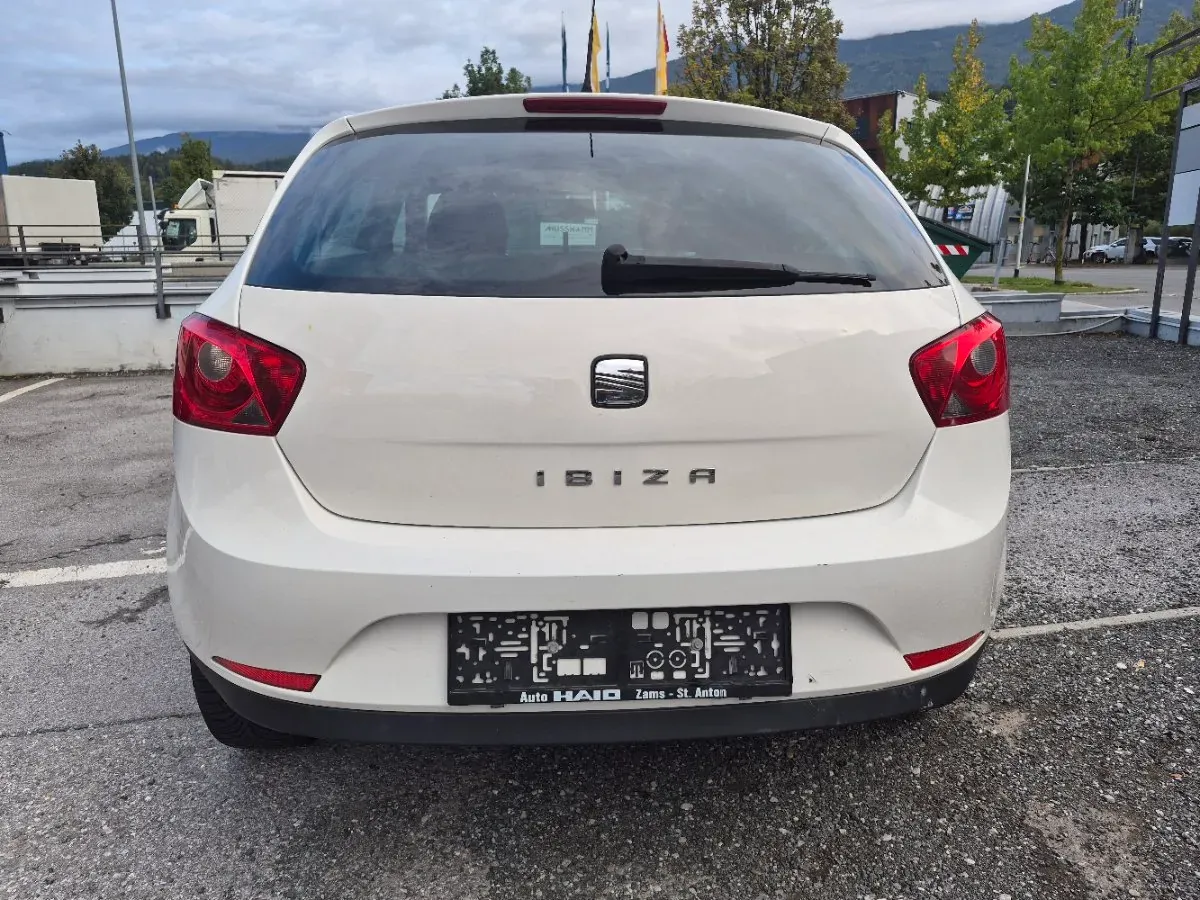 Seat Ibiza 2009 photo 3