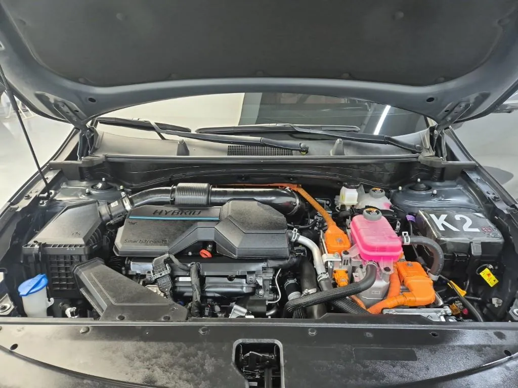 Kia Sportage 2024 photo 5